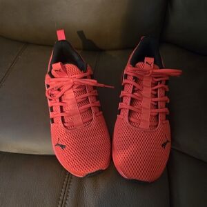 Puma Men's Bold Red Sneakers